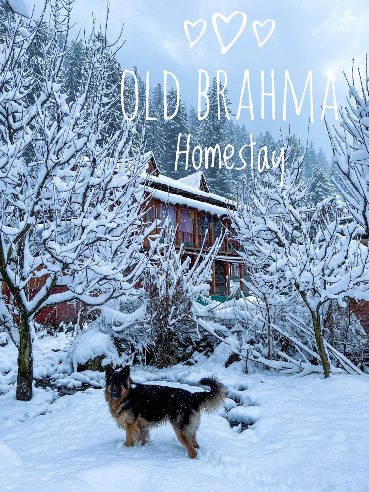 Old Brahma Homestay Kalgha Ngoại thất bức ảnh